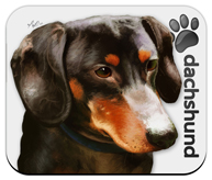 Dachshund_Dog Mouse Pad colors